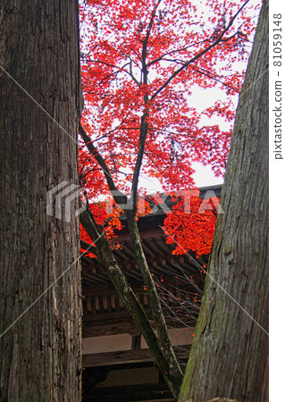 Saige-ji Saige-ji 81059148