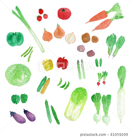 各種蔬菜的可愛水彩插圖集 81059209