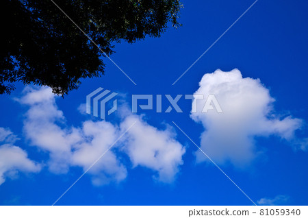 雨季的天空 雨季的天空 81059340