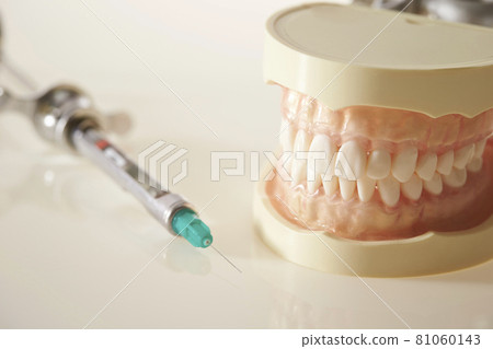 牙列模型和牙科麻醉 牙科圖像 81060143