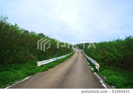 Country road in Miyakojima, Okinawa Country road in Miyakojima, Okinawa 81060441