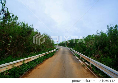 Country road in Miyakojima, Okinawa Country road in Miyakojima, Okinawa 81060442