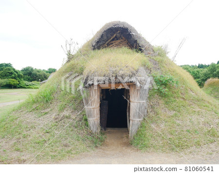Pit-house building at Sannai Maruyama Site 81060541