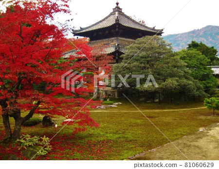 秋葉京都六國院 81060629