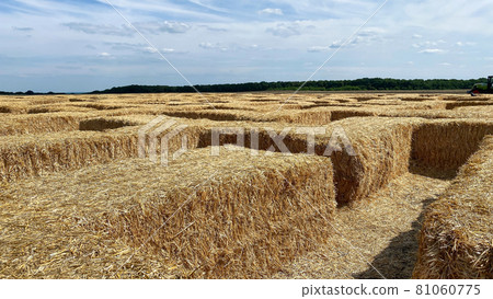 Hay in a bale in a sunny day close-up. Food product for farm animals, farming concept 81060775