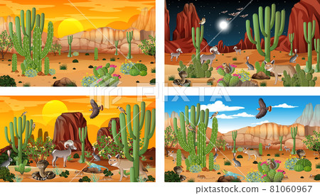 Different desert forest landscape scenes with animals and plants 81060967