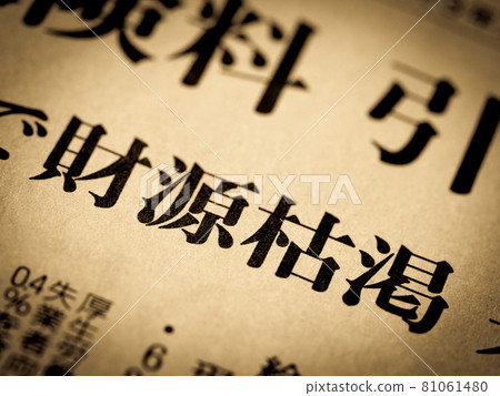 Heading "Financial Depletion" 81061480