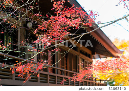 三千院游生園十邊園 81062140