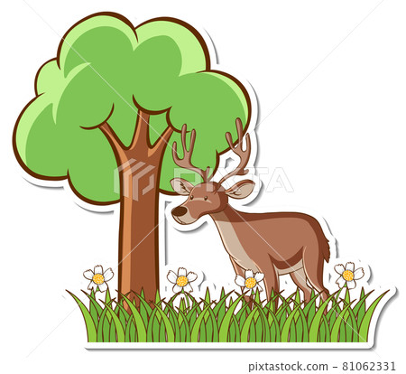 Deer standing in grass field sticker 81062331