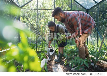 Happy young father with small daughter working outdoors in backyard, gardening and greenhouse concept. Happy young father with small daughter working outdoors in backyard, gardening and greenhouse concept. 81062419