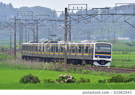 Sobu Main Line Sakura-Monoi JR East 209 series 2100 series C439 formation (Makuhari) 81062843