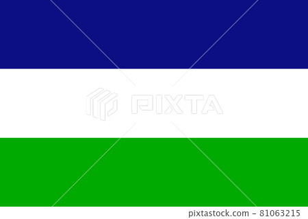 The Kingdom of Araucania and Patagonia flag in real proportions and colors, vector 81063215