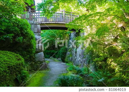 Jozanen, beautiful green Japanese garden <Anjo City, Aichi Prefecture> Jozanen, beautiful green Japanese garden <Anjo City, Aichi Prefecture> 81064019