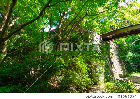 Jozanen, beautiful green Japanese garden <Anjo City, Aichi Prefecture> Jozanen, beautiful green Japanese garden <Anjo City, Aichi Prefecture> 81064054