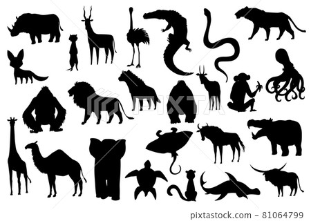 Collection of cute vector animals. Hand drawn silhouette animals which are common in Africa. Icon set isolated on a white background 81064799
