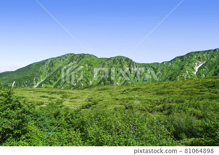 夏季從立山巴士車窗眺望大日山 81064898