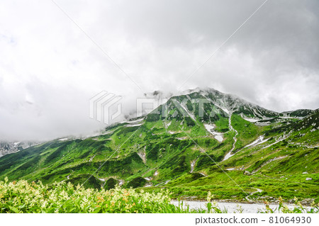 夏季眺望立山,雲霧繚繞的大山 夏季眺望立山,雲霧繚繞的大山 81064930