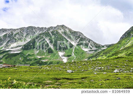 夏季從立山和室堂平眺望大山 夏季從立山和室堂平眺望大山 81064939