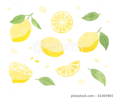 檸檬水彩風格插畫套裝水果水果柑橘柑橘夏季可愛水果橫斷面手繪 檸檬水彩風格插畫套裝水果水果柑橘柑橘夏季可愛水果橫斷面手繪 81064965