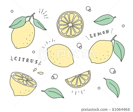 Brush simple stamp hand drawn textured fruits set. Food, lemon