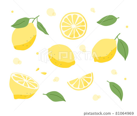 檸檬手繪插圖集水果水果柑橘柑橘夏季可愛水果橫截面 檸檬手繪插圖集水果水果柑橘柑橘夏季可愛水果橫截面 81064969