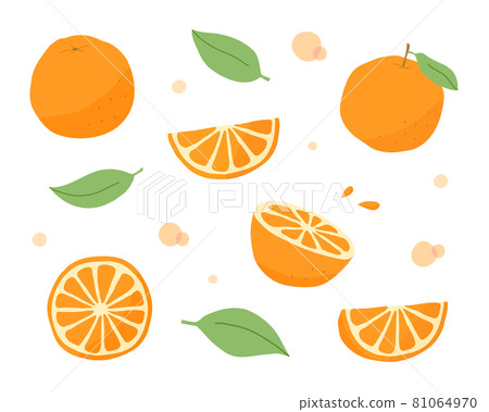 一套橙色手繪插圖水果水果柑橘柑橘夏季橙子水果橫截面 81064970