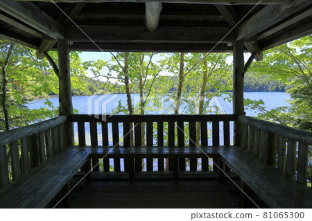 白駒池和苔蘚森林 白駒池和苔蘚森林 81065300