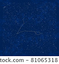 Autumn constellations: Pisces and surrounding stars 81065318