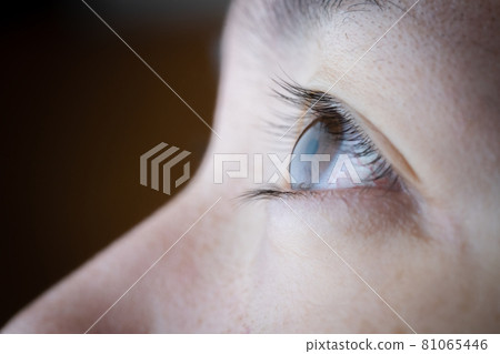 Female eyes seen from the side Female eyes seen from the side 81065446