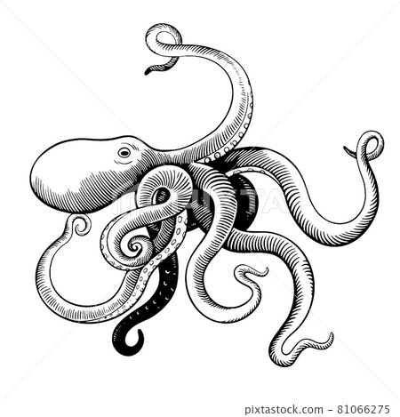 Hand drawn octopus in woodcut engraving vintage... - Stock Illustration ...