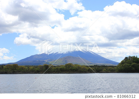 Mt. Fuji seen from Lake Shoji 81066312
