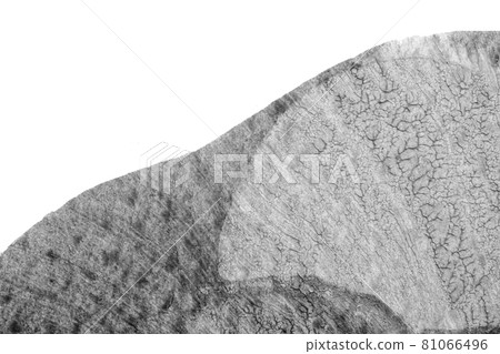 black white abstract acrylic painting color texture on white paper background by using rorschach inkblot method black white abstract acrylic painting color texture on white paper background by using rorschach inkblot method 81066496