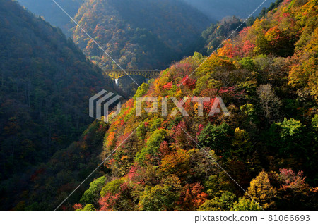 Chichibu City, Saitama Prefecture Autumn Oku Chichibu Autumn Leaves and Karisaka Bridge 81066693
