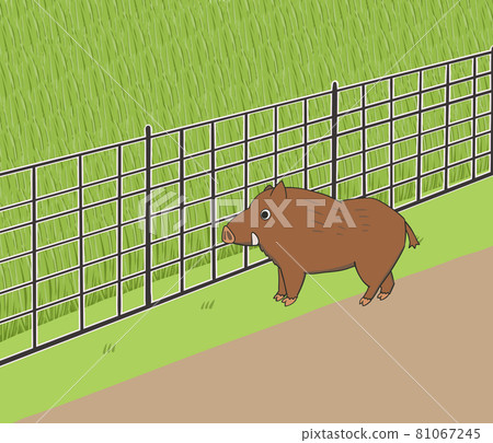 Illustration of wire mesh fence for wild boar measures 81067245