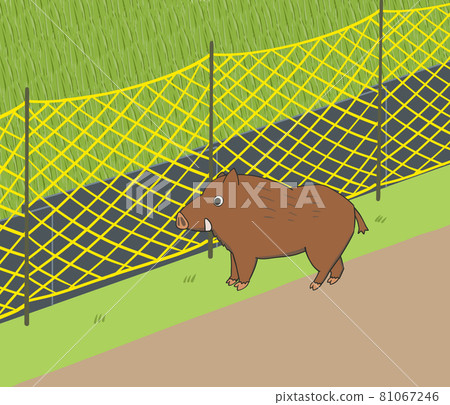 Measures against wild boar blindfolded with net fence and galvanized iron 81067246