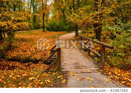 Munich English garden Englischer garten park in autumn. Munchen, Bavaria, Germany Munich English garden Englischer garten park in autumn. Munchen, Bavaria, Germany 81067260