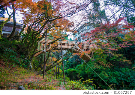 Kakusenkei Promenade in Yamanaka Onsen, Ishikawa Prefecture Autumn (photographed in November 2020) 81067297