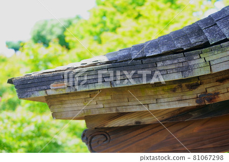 Horsetail thatched roof 81067298