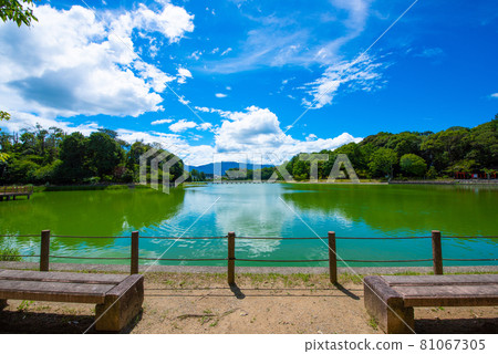 Kashihara Jingu Fukada Pond and promenade Kashihara Jingu Fukada Pond and promenade 81067305