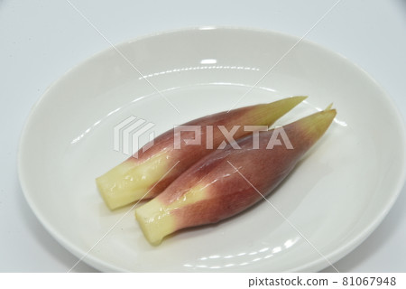 具有獨特的苦味,作為調味品的代表而廣受歡迎的妙加和花妙加 具有獨特的苦味,作為調味品的代表而廣受歡迎的妙加和花妙加 81067948