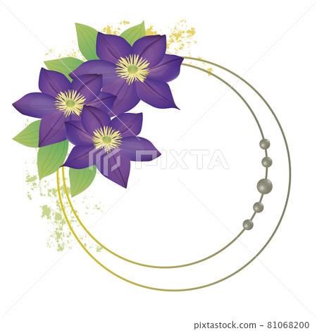 鐵線蓮花卉圖框 鐵線蓮花卉圖框 81068200