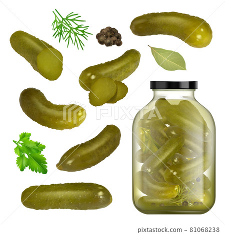 Pickled cucumbers. Sliced gourmet products herbs parsley black pepper green spice for canned food homemade cucumbers in jar decent vector pictures Pickled cucumbers. Sliced gourmet products herbs parsley black pepper green spice for canned food homemade cucumbers in jar decent vector pictures 81068238