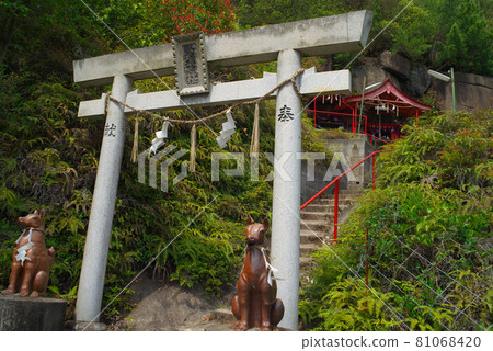 Tamahime Shrine's precincts, Wolong Inari Shrine Okumiya Torii and Shrine, Tamano City, Okayama Prefecture 81068420