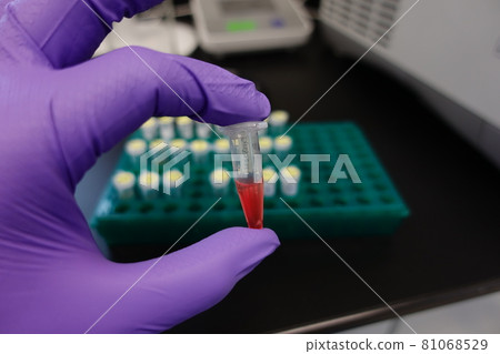 science experiment science experiment 81068529