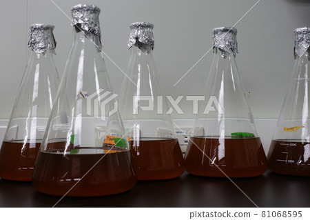 science experiment 81068595