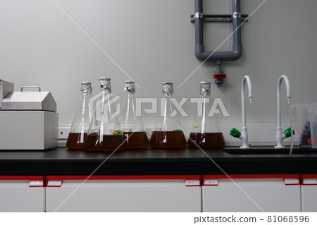 科學實驗 81068596
