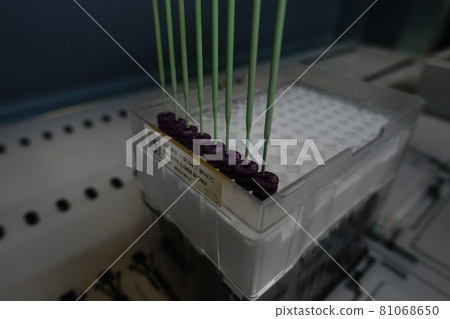 科學實驗 81068650