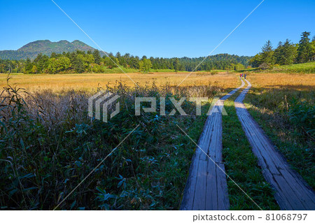 Autumn Oze Looking toward Oe Marsh from the vicinity of Ozenuma Visitor Center 81068797