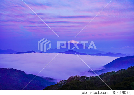 （神奈川縣）雲海蘆之湖黎明時分的富士山 81069034