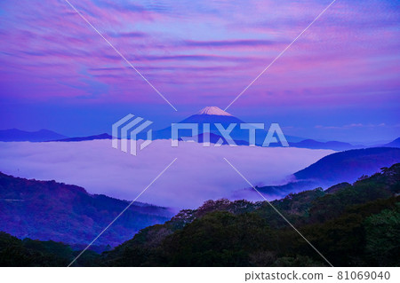 (神奈川縣)雲海蘆之湖黎明時分的富士山 (神奈川縣)雲海蘆之湖黎明時分的富士山 81069040